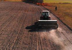 Konya'ya da sıçradı! Köylülerin kabusu oldu, tek parçası yok ediyor: Maalesef başladı
