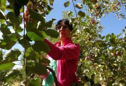 Fransa’dan köyüne döndü, 600 kişiye iş kapısı olacak projeyi hayata geçirdi: Sorbonne mezunu kadın girişimciden Tunceli’de devrim yaratacak proje!