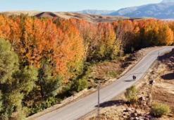 Cilo Dağı eteklerinde sonbahar manzaraları! Yüksekova'daki doğa harikası Suüstü köyü ziyaretçi akınına uğruyor