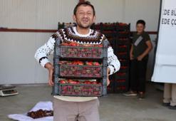 Çiftçi yeni ürünle zenginleşti! İspanya'dan talep yağıyor, yetiştiremiyorlar!