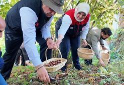 Düzce'nin köyünde yetişti, 794 tonluk üretimle Türkiye'ye damga vurdu