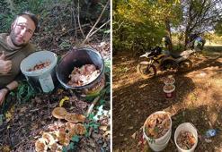 Bolu ormanlarında mantar bereketi: 25 kilo kanlıca topladı