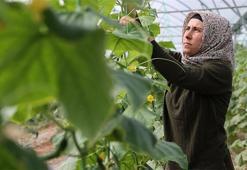 Kadın girişimci devlet desteği ile kendi işinin patronu oldu! Üretim kapasitesini 20 katına çıkardı, köyünü istihdam üssü yaptı, köylüsünü ihya etti