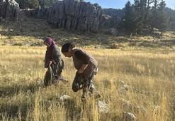 Yöre halkı hiç para ödemiyor! Torosların eteklerinde resmen topraktan fışkırıyor