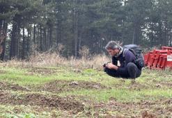 Safran hasadı başladı! 2025 safranın kilo fiyatı belli oldu: Yeniden dünyanın en pahalısı seçildi