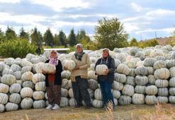 Eskişehir'de köylü tarih bekliyor! Az bir zaman kaldı
