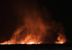 Hakkari'de kuş cennetindeki yangın köyleri tehdit ediyor