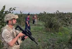 Kilosu 600 TL oldu! Jandarma 7/24 nöbet tutuyor: Hasat başladı, hırsızlar iş başında!