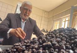 Bursa'nın dağlarından İsviçre'nin sofralarına! 'Almanya'ya evet desek iç piyasaya ürün kalmaz'