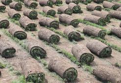 24 yılda 50 kat büyüdü, köyden kente göçü tersine çevirdi! Fenerbahçe, Galatasaray, Beşiktaş sıraya girdi