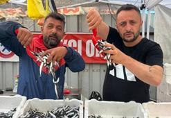 Hamsinin fiyatı dibi gördü! Bu sezon ilk kez oluyor, daha da düşebilir