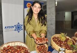 Aydın kestanesi sezona 550 TL ile giriş yaptı!