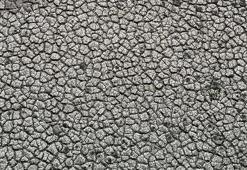 Adana'da endişe veren görüntü! Sular çekildi, toprak çatladı, tarım tehdit altında