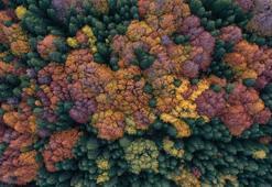 Uludağ'da 2 bin metre havadan görüntülendi! Zirveye çıktıkça belirginleşti: Gören gözler mest oluyor