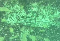 Sular çekildi, tarih ortaya çıktı! Adıyaman'da 12 bin yıllık kaya resimleri su altında görüntülendi