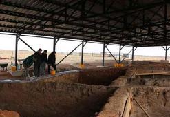 Tunç Çağı'nın gizemli ritüeli! Küllüoba Höyüğü'nde 5 bin 200 yıllık sır: Mezarlara tohum ekmişler1