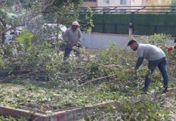 Nazilli'de 12 mahallede birden başlatıldı: Muhtarlar taleplere yetişemedi