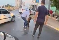 Mersin'de ağızlıksız gezdirilen 'Rottweiler' cinsi köpek dehşet saçtı