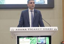 Çukurova'nın can damarları tükeniyor! Seyhan, Ceyhan ve Tarsus çayı 'kirlilik yükü altında!'