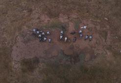 Sadece Sivas'ın dağlarında uçuyor! İki cins yetişiyor: 500 bin TL'ye alıcısı var: Nesli bozulma tehlikesi altında