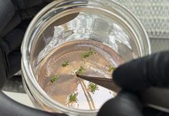 Trabzon'da 5 yıl önce kuruldu! 30 türde seri üretim yapılıyor: "Küçük bir parçayla bile binlercesine ulaşılıyor"