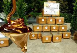 Menteşe'de 'Muğla'nın Tadı, Çam Balı' sloganıyla şenlik yapıldı