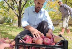 Van'da kışlık hasat başladı: 35 yıldır aynısını yapıyorum, kilosu 40 lira