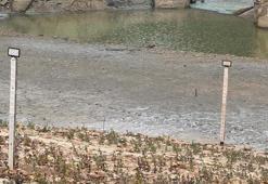 Bodrum'un 10 günlük suyu kaldı! Barajlar ölü hacme düştü: Uzmanından uyarı üstüne uyarı