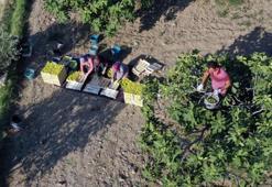 Köylüler kabusu yaşadı! Resmen bedavaya satıyorlar yine alan yok: Hepsi elimizde kaldı