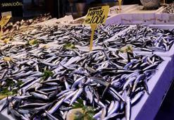 Denizde bereket var ama fiyatlar uçtu! Trabzon'da hamsi 100 TL'den tezgâhta