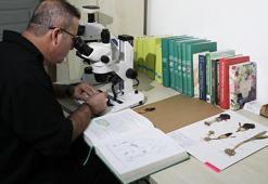 Köyde mantar toplarken keşfetti! Fotoğrafını çekince gerçek ortaya çıktı: Dünyada daha önce görülmedi