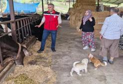 Bir kursla başladı! Kendi işletmesini kurdu, kazancı katlandı: Kadın girişimcinin büyük başarısı