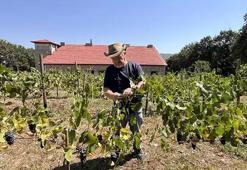 20 dönümlük çöp araziyi hazineye çevirdi! Filmde gördüğünü yaptı: Sadece 8 tanesi 6 ton veriyor