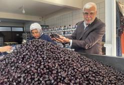 Sadece Bursa'da 130 bin tonu üretilecek! Türkiye'nin ihtiyacının 6'da 1'ini karşılıyor