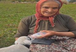 Ordulu Fatma Teyze eşini kaybedince çobanlık yapmaya başladı! Yaylaları mesken tuttu