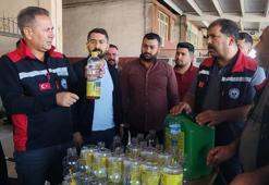 Kozan'da narenciye düşmanı Akdeniz meyve sineğine karşı dev operasyon!