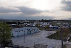 Bu ilçe hayvancılığın başkenti olacak! Et üretimi zirveye ulaştı