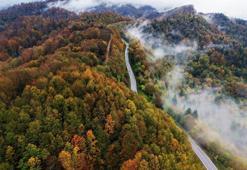 Sakarya'da gökyüzüne uzanan cennet: Film platosunu aratmıyor