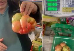 Böylesi kolay görülmüyor! Mardin'de bu domates hayrete düşürdü