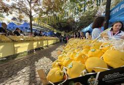Kalitesiyle ünlü ayva, festivalle görücüye çıktı
