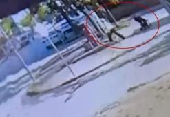 İş insanı para dolu çantayı arabanın üstünde unuttu! Bulan kadın, ortadan kayboldu