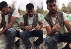 Mezarda gördüğü karşısında dili tutuldu! Son dönemlerde çok fazla rastlanıyor
