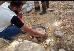 Konya'da 5 arkadaş derede altın buldu! O anlar kaydedildi
