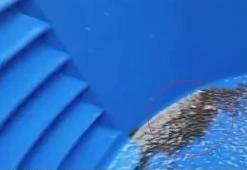 Konya'da 5 arkadaş derede altın buldu! İki ilçede çıktı: Leğenlerle topladılar