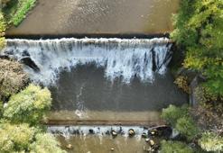 Bursa 2 günde hayata döndü! Uludağ eteklerinde beslendi
