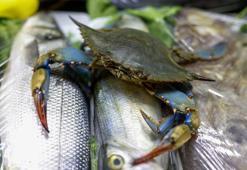 Adana kebabının yanına mavi yengeç geldi! Gizli hazine keşfedildi, su ürünleri ihracatında 30 bin tonla yeni merkez oldu
