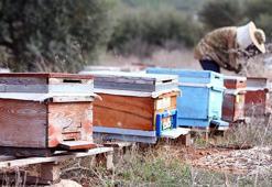 Babasının hediyesiyle hobi olarak başladı şimdi siparişlere yetişemiyor: Kazancını katladı