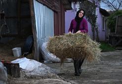 Düzceli genç kadının ilham veren başarısı! Bir inekle başladı, 5 yılda dev bir tesis kurdu