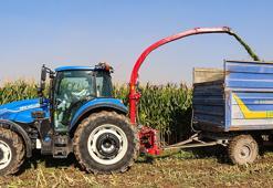 Iğdır ovaları silajlık mısırda rekora koşuyor: Hasat başladı, 172 bin ton ürün bekleniyor!