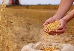 18. Tarım Fuarı kapılarını açıyor: Ejder meyvesinden pamuğa tüm tarım potansiyeli tanıtılacak!